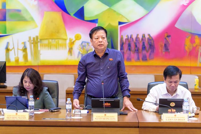 Đại biểu Nguyễn Trường Giang, Đoàn ĐBQH tỉnh Lâm Đồng phát biểu tại phiên thảo luận tổ