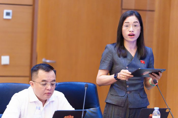 Đại biểu Cil Bri, Đoàn ĐBQH tỉnh Lâm Đồng nêu ý kiến