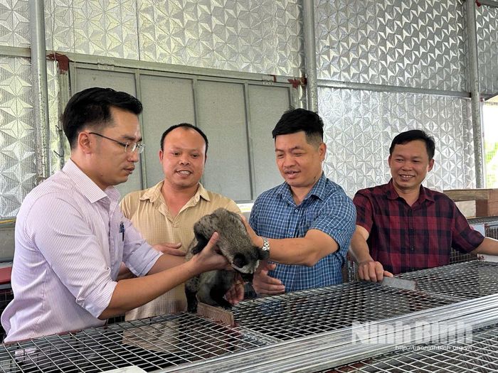 Mô hình nuôi cầy vòi hương của gia đình anh Nguyễn Văn Du xóm Đông Yên, xã Định Hóa.