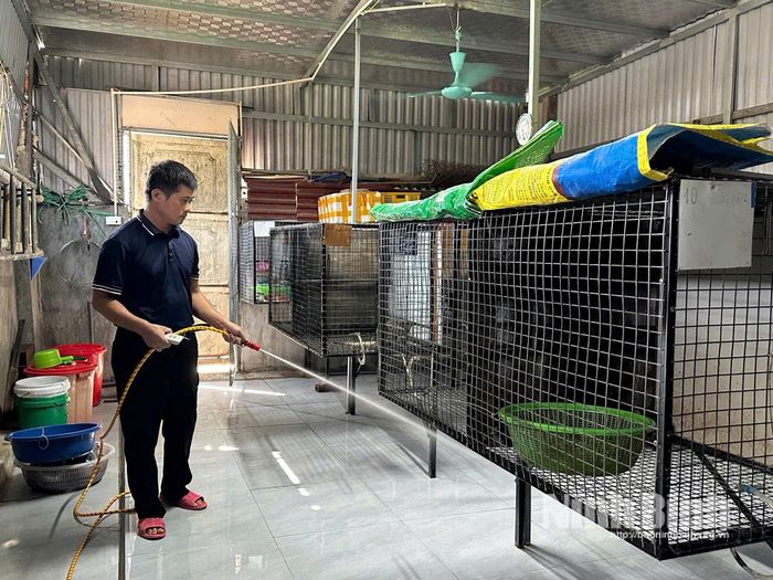 Hệ thống chuồng trại nuôi cầy vòi hương được thiết kế cao ráo, dễ dàng vệ sinh, giúp hạn chế dịch bệnh và ô nhiễm môi trường.