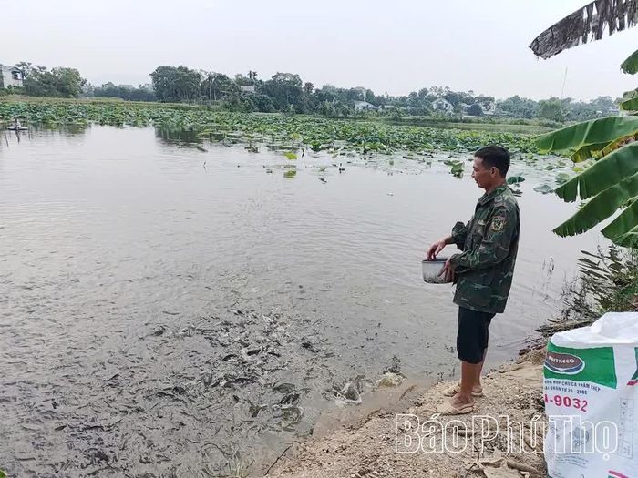 Xã Vĩnh Chân khuyến khích phát triển mô hình chăn nuôi thủy sản, tạo động lực nâng cao thu nhập cho người dân.