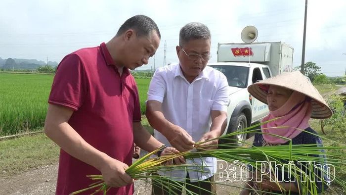 Cán bộ xã Yên Thủy thường xuyên kiểm tra tình hình sản xuất tại địa phương.