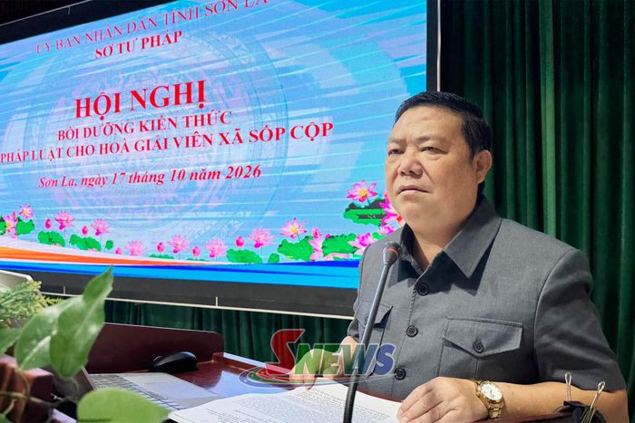 Lãnh đạo Sở Tư pháp phát biểu tại hội nghị.