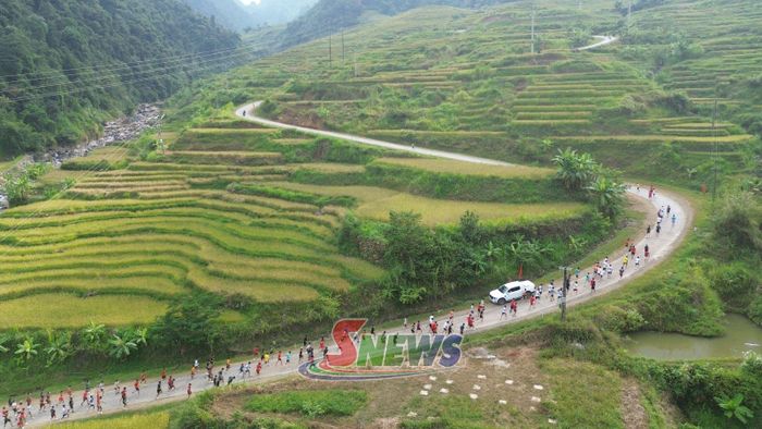 Rất đông các vận động viên tham gia giải chạy