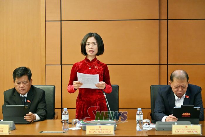 Đại biểu Hoàng Ngân Hoàn phát biểu
