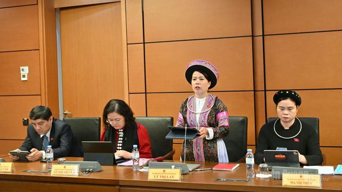 Đại biểu Lý Thị Lan phát biểu thảo luận.