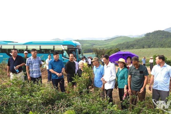 Đại biểu vùng dân tộc thiểu số học tập kinh nghiệm tại mô hình trồng sâm, trồng cây mắc ca tại tỉnh Thanh Hoá.