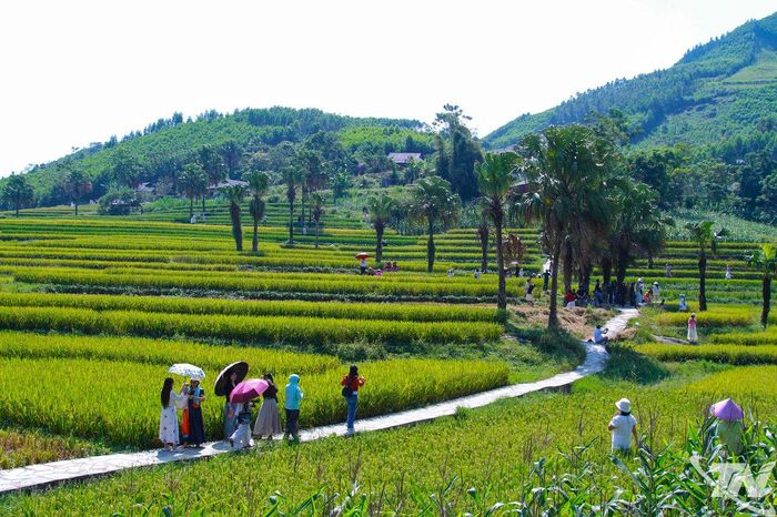 Du khách được hòa mình vào thiên nhiên trong trẻo, mát mẻ của khí hậu vùng cao.
