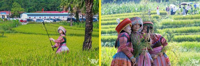 Nhóm của chị Nguyễn Thị Thu (phường Phan Đình Phùng, Thái Nguyên) rất hài lòng với những hình ảnh ghi lại được ở Bản Tèn.