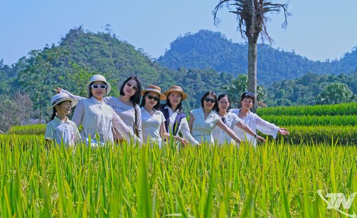 Mùa lúa chín là thời điểm Bản Tèn thu hút du khách.