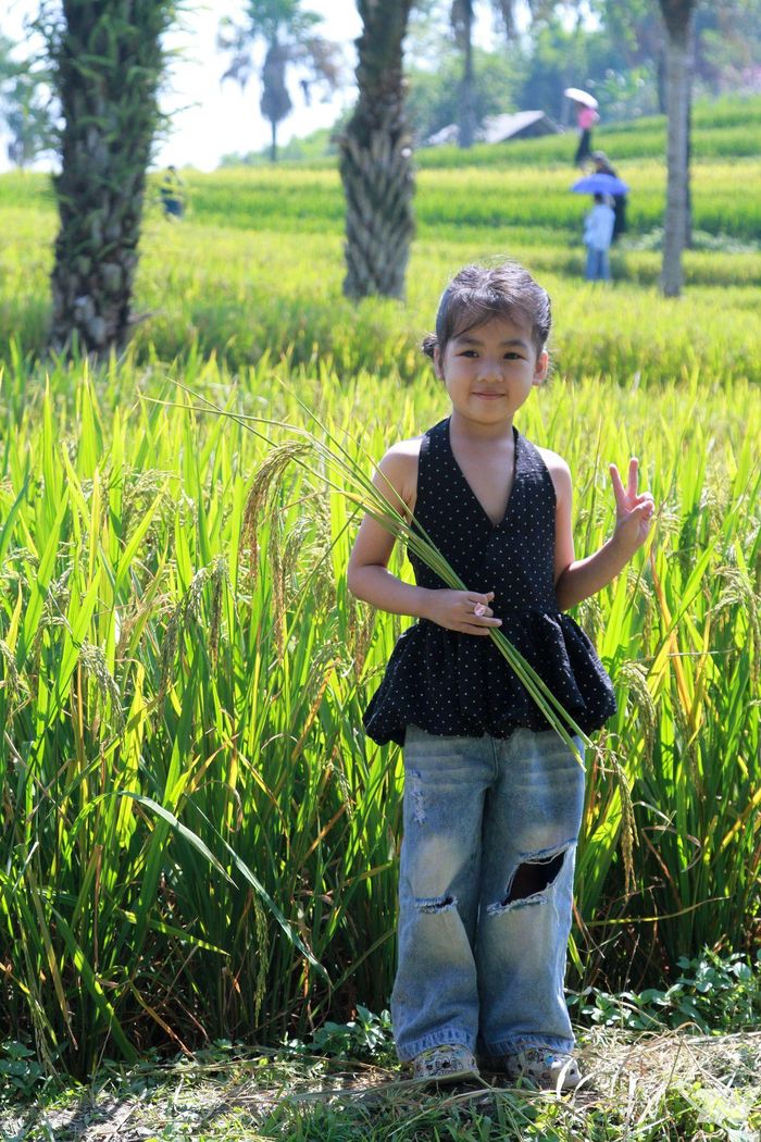 Một em bé đã có chuyến trải nghiệm thú vị.