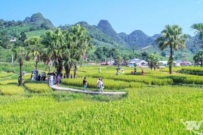“Bức tranh” thu ở Bản Tèn.