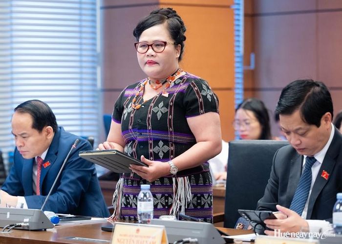 Đại biểu Nguyễn Thị Sửu, Phó Trưởng đoàn ĐBQH chuyên trách TP. Huế đề nghị bổ sung cơ chế buộc tổ chức, cá nhân vi phạm hoàn trả khoản tiền thu vượt cho người tiêu dùng. Ảnh: Đoàn ĐBQH thành phố cung cấp