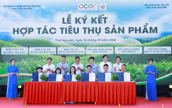 Lễ ký kết hợp tác tiêu thụ sản phẩm giữa doanh nghiệp và các hợp tác xã diễn ra trong khuôn khổ Ngày hội (Ảnh: Phương Thảo)