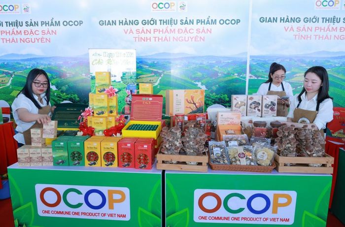 Không gian trưng bày sản phẩm (Ảnh: Phương Thảo)