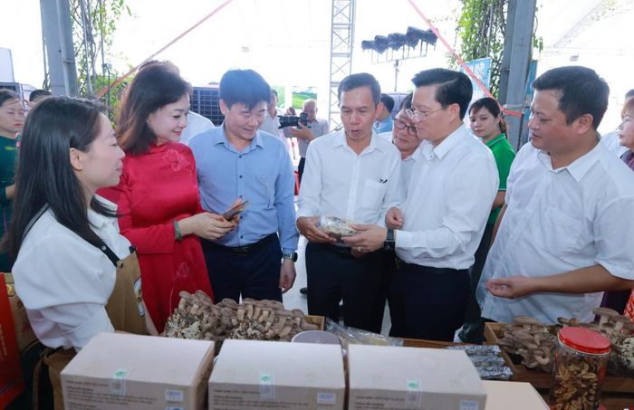 Đại biểu tham quan, tìm hiểu các sản phẩm nông nghiệp đặc trưng tại Ngày hội (Ảnh: Phương Thảo)