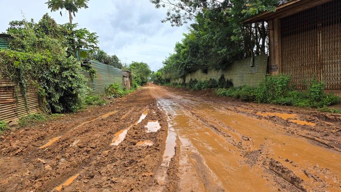 Dự án tạm thời chưa đầu tư đoạn từ Km 0+00 - Km 2+540, dài 2,54km; tổng mức đầu tư được đề xuất điều chỉnh còn hơn 101 tỷ đồng. Ảnh: Ngọc Hùng