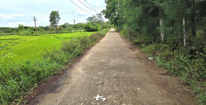 Một đoạn thuộc tuyến đường nối từ tỉnh lộ 561 vào ga Thọ Lộc đầu tháng 8/2026.
