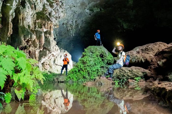 Vừa có kỳ quan thiên nhiên, vừa có lịch sử hào hùng, Quảng Trị hướng đến xây dựng du lịch thành ngành kinh tế mũi nhọn – Ảnh: Jungle Boss.