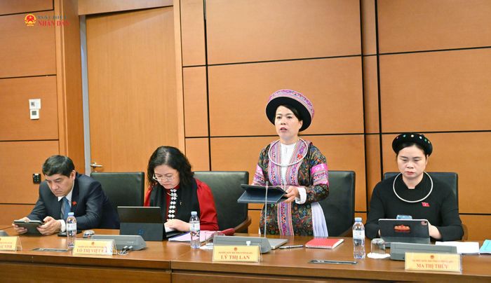 ĐBQH Lý Thị Lan (Tuyên Quang) phát biểu