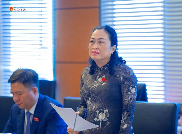 ĐBQH Trần Thị Hoa Ry (Cà Mau) phát biểu ý kiến. Ảnh: Xuân Quý