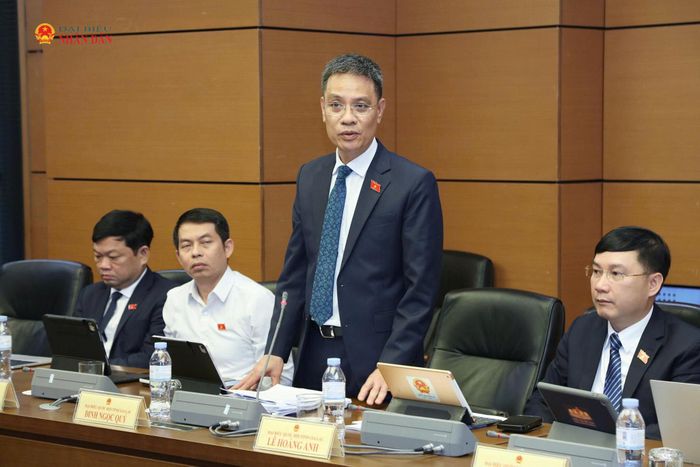 ĐBQH Đinh Ngọc Quý (Gia Lai) phát biểu thảo luận. Ảnh: Minh Anh