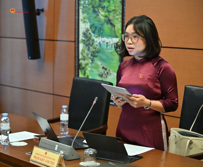 ĐBQH Phạm Kiều Anh Thơ (TP. Cần Thơ) phát biểu. Ảnh: Quang Khánh