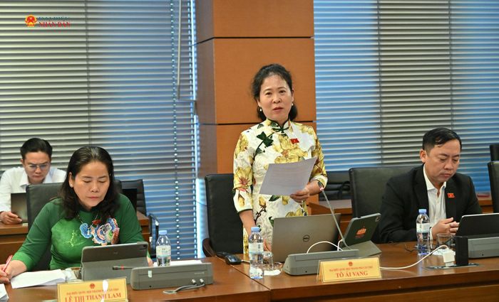 ĐBQH Tô Ái Vang (TP. Cần Thơ) phát biểu. Ảnh: Quang Khánh
