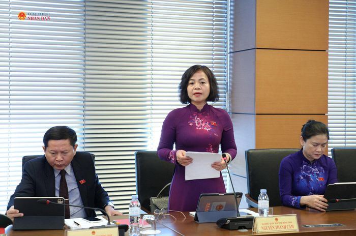 ĐBQH Nguyễn Thanh Cầm (Đồng Tháp) phát biểu tại thảo luận tổ