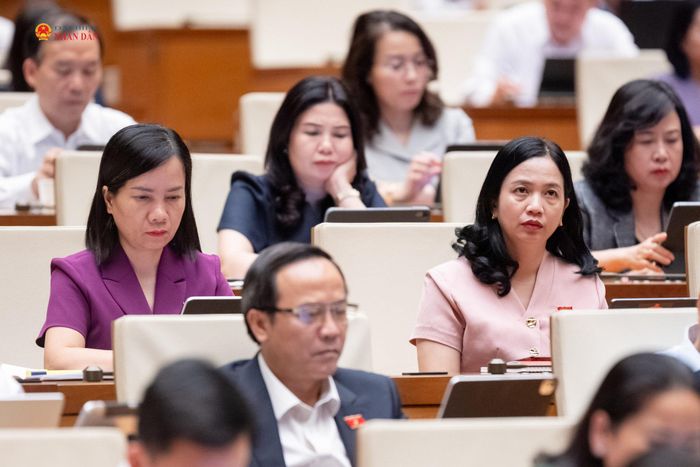 Các đại biểu tham dự phiên họp. Ảnh: Phạm Thắng