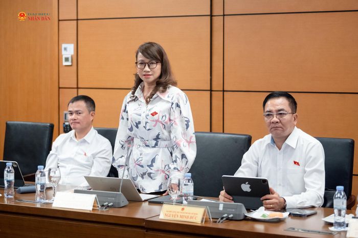 ĐBQH Nguyễn Thị Thanh Mai phát biểu thảo luận tại tổ