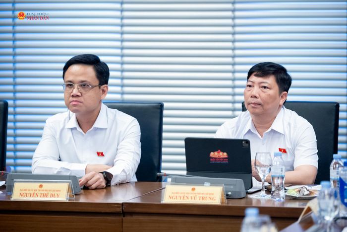 ĐBQH TP. Hồ Chí Minh tham dự phiên thảo luận