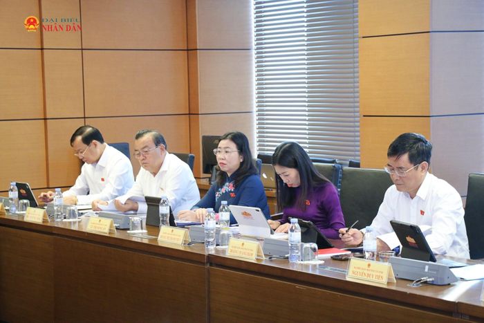 Các đại biểu tham dự phiên thảo luận tổ. Ảnh: Đắc Trường