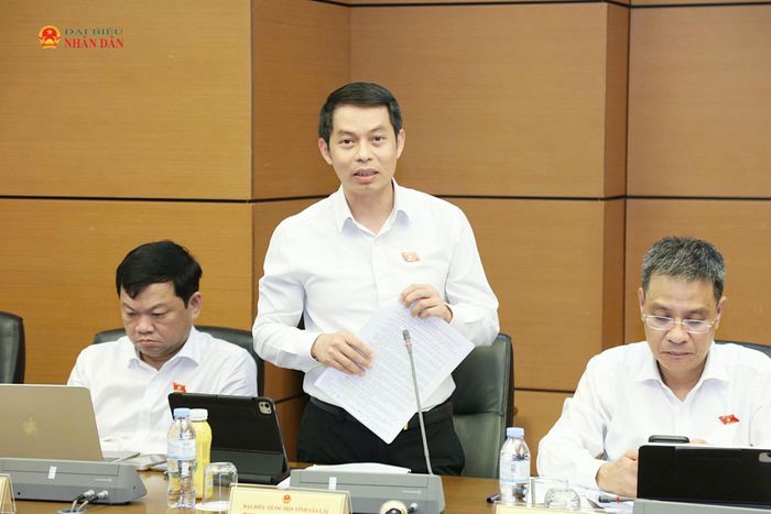 ĐBQH Phạm Ngọc Lâm (Gia Lai) phát biểu thảo luận. Ảnh: An Nhiên