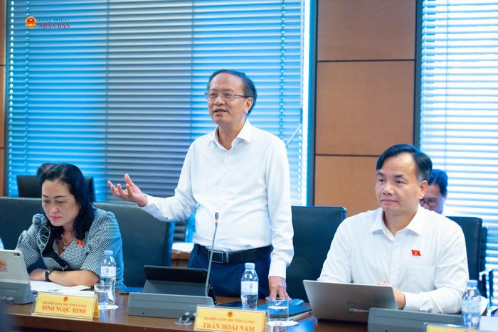 ĐBQH Đinh Ngọc Minh (Cà Mau) phát biểu. Ảnh: Xuân Quý
