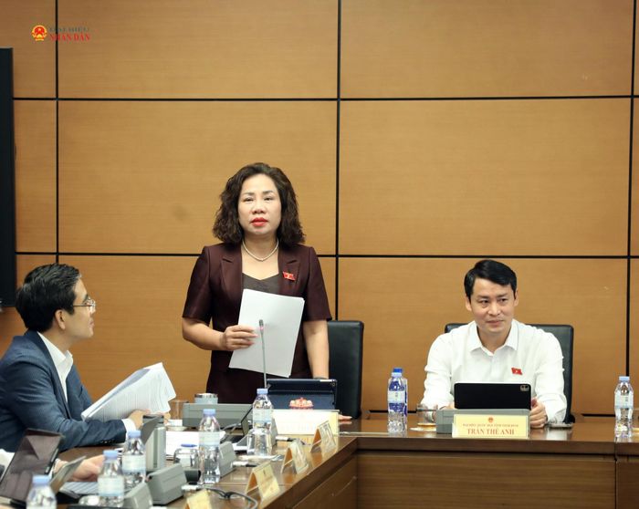 Đại biểu Trần Thị Hiền (Ninh Bình) phát biểu. Ảnh: Trọng Hiếu