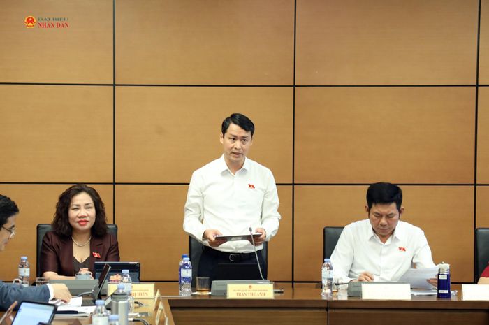 Đại biểu Trần Thế Anh (Ninh Bình) phát biểu. Ảnh: Trọng Hiếu