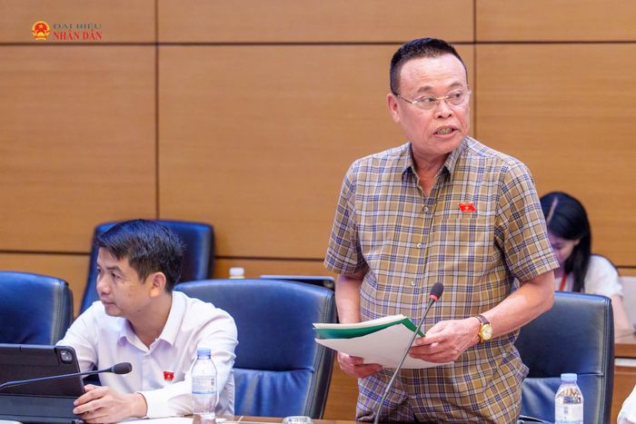 ĐBQH Nguyễn Như So phát biểu tại phiên thảo luận tổ, chiều 17/10. Ảnh: H.Nga