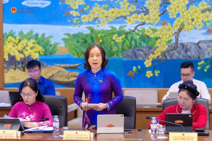 ĐBQH Nguyễn Thị Kim Anh (Bắc Ninh) phát biểu tại phiên thảo luận tổ. Ảnh: H.Nga