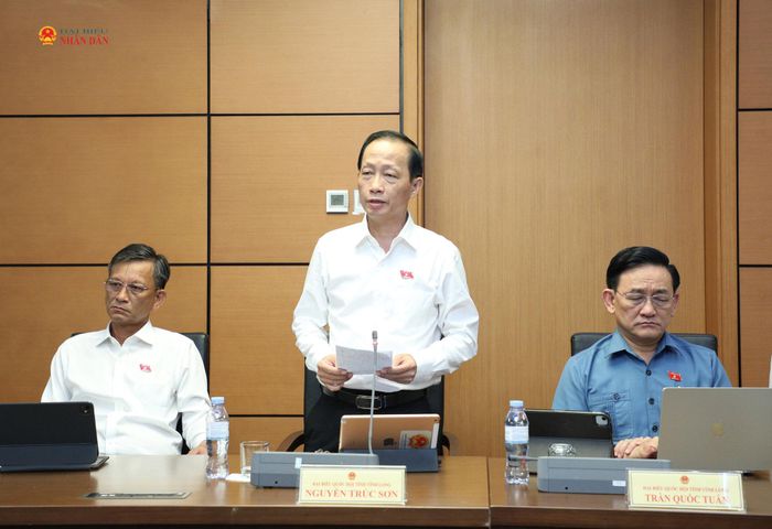 ĐBQH Nguyễn Trúc Sơn (Vĩnh Long) phát biểu