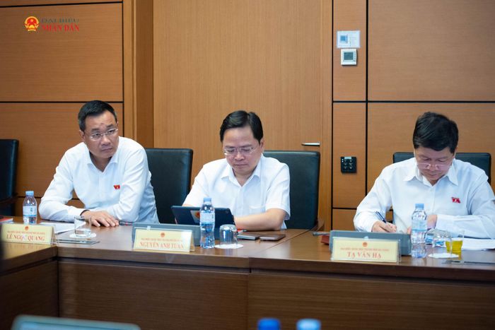 Các ĐBQH tham dự phiên họp tổ