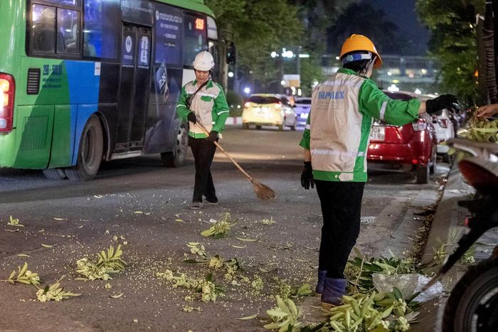 Nói về hoa sữa, bà Hiền, một người dân trên phố Tân Mai chia sẻ, mùi hoa nồng nặc, gây khó chịu nhất là vào đêm khuya nên việc cắt tỉa bớt là rất hợp lý.