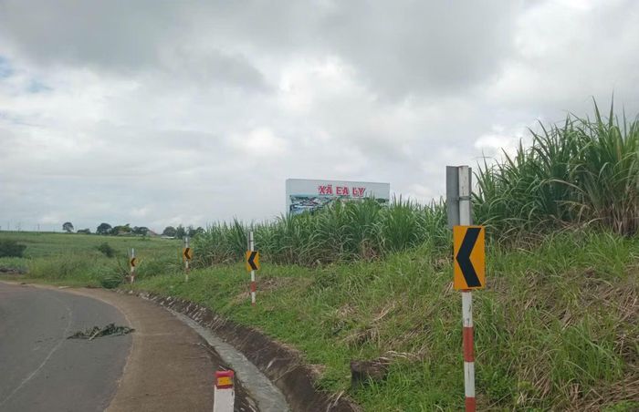 Hiện trường xảy ra vụ tai nạn là đường đèo dốc, vòng cua bên trái.