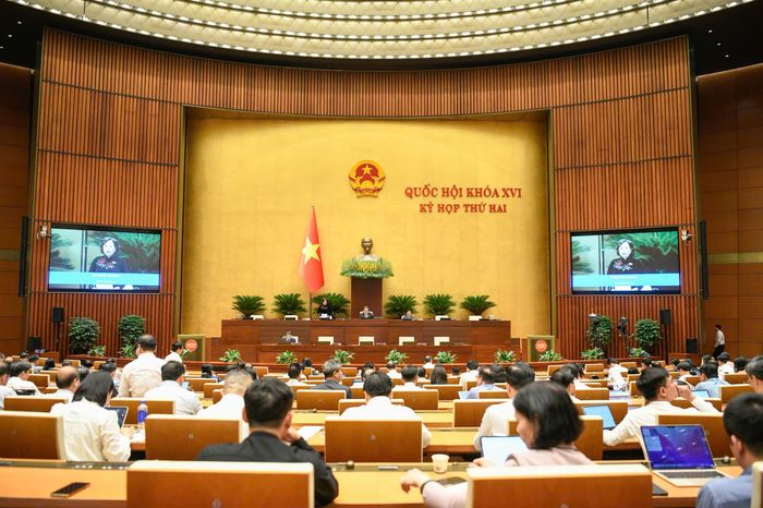 Quang cảnh Phiên họp. Ảnh: NHƯ Ý