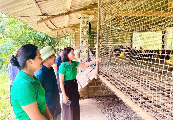 Hội Nông dân xã Vị Xuyên ra mắt Tổ Hội Nông dân nghề nghiệp “Nuôi gà thương phẩm” với 12 thành viên. Tổ hiện duy trì đàn hơn 4.500 con gà, góp phần thúc đẩy liên kết sản xuất, nâng cao hiệu quả chăn nuôi và tăng thu nhập cho hội viên.