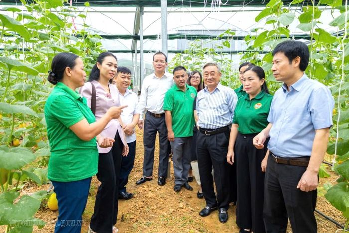 Lãnh đạo Hội Nông dân tỉnh, xã Thái Bình cùng đại biểu tham quan mô hình trồng rau màu trong nhà màng của gia đình bà Chu Thị Bình.