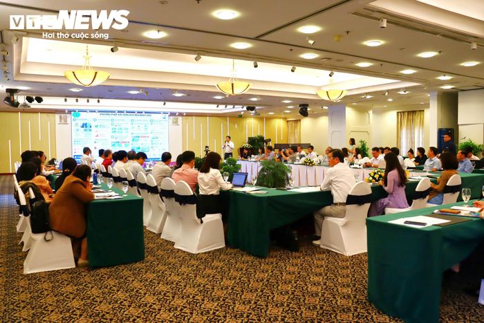 Theo các chuyên gia, hiệu ứng đảo nhiệt đô thị khiến khu vực tập trung nhiều công trình, mặt đường bê tông hấp thụ nhiệt phải đối mặt với nguy cơ gia tăng nhiệt độ.