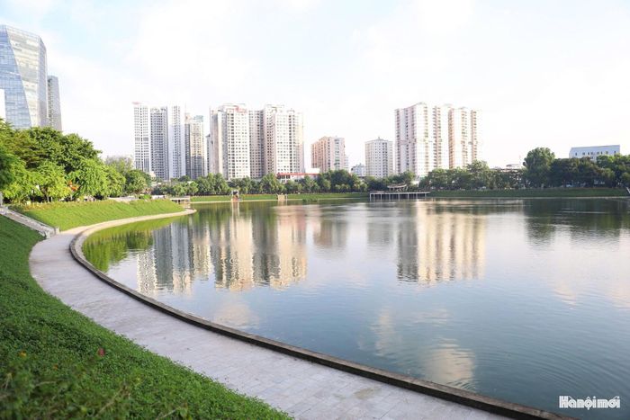 Cùng với mặt nước, hệ thống cây xanh góp phần tạo bóng mát, cải thiện vi khí hậu và nâng cao chất lượng không gian công cộng. Sự kết hợp giữa hồ điều hòa, hệ thống chiếu sáng và cảnh quan xung quanh góp phần tạo diện mạo riêng cho công viên giữa khu vực đô thị hiện đại.