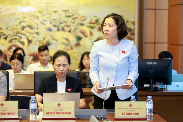 Đại biểu Lê Kim Anh. Ảnh: Văn Tuyến