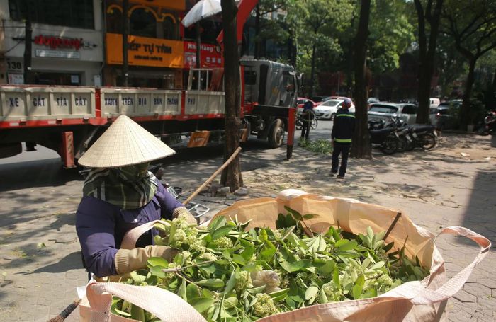 Biện pháp can thiệp kịp thời của cơ quan chức năng đã nhận được sự đồng thuận lớn từ các hộ dân khu vực sở tại, giải tỏa hiệu quả nỗi ám ảnh về mùi hương nồng gắt mỗi độ thu về.